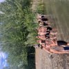 TuS_Triathlon_2026